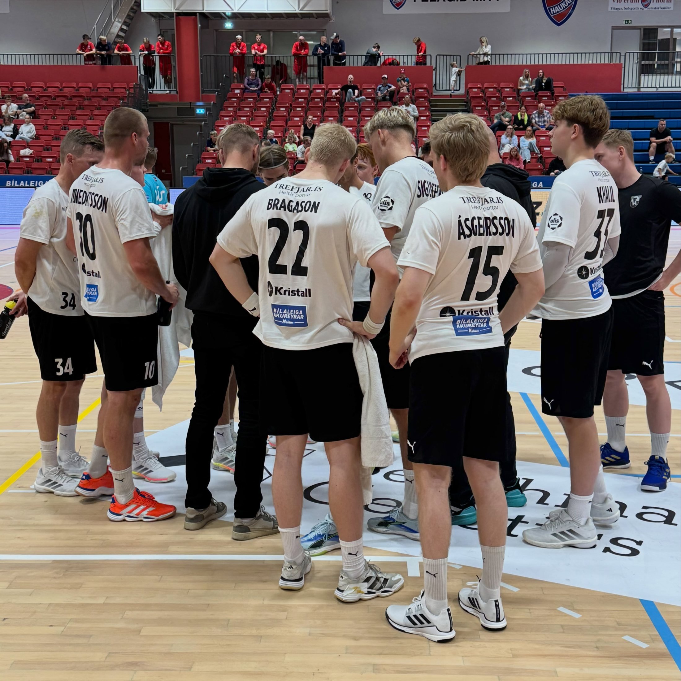 FH og Haukar með sigra